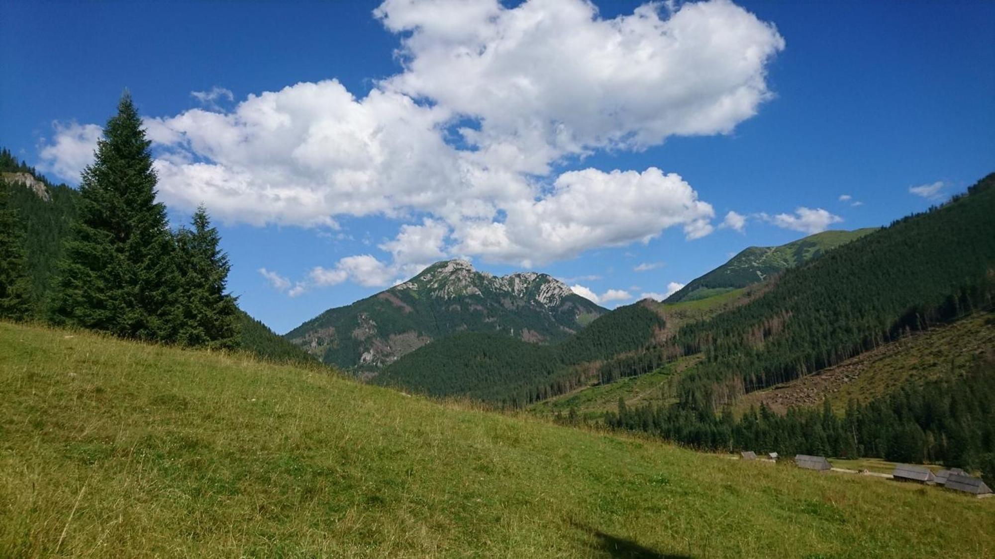 U Suchowiana Zakopane Exterior foto